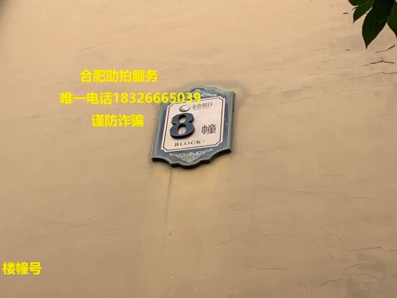 Ϸг˫ɫA8103ңһģ