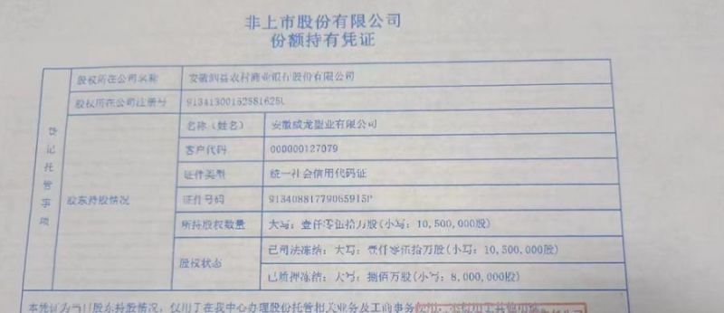 安徽威龙塑业有限公司持有泗县农村商业银行1050万股股权（一拍）