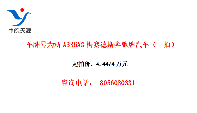 ƺΪA336AG÷˹һģ