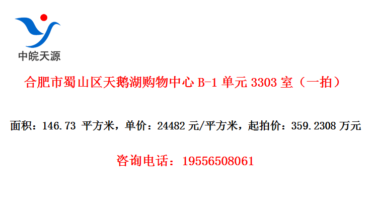 合肥市蜀山区天鹅湖购物中心B-1单元3303室（一拍）