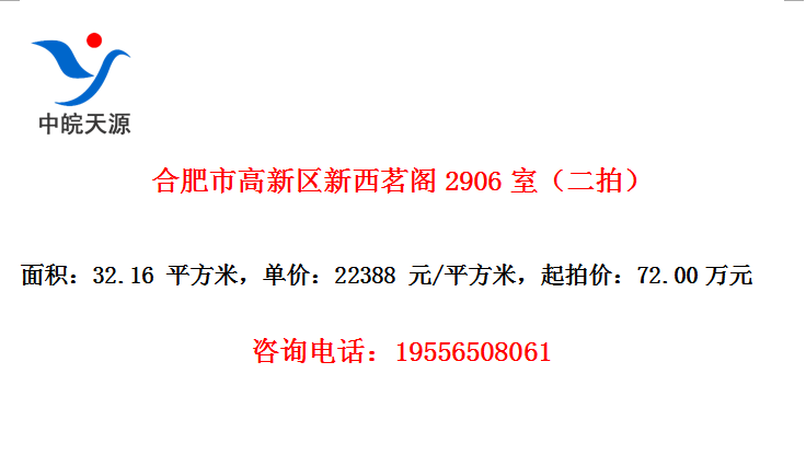 合肥市高新区新西茗阁2906室（二拍）