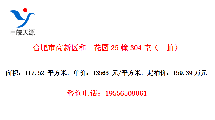 合肥市高新区和一花园25幢304室（一拍）