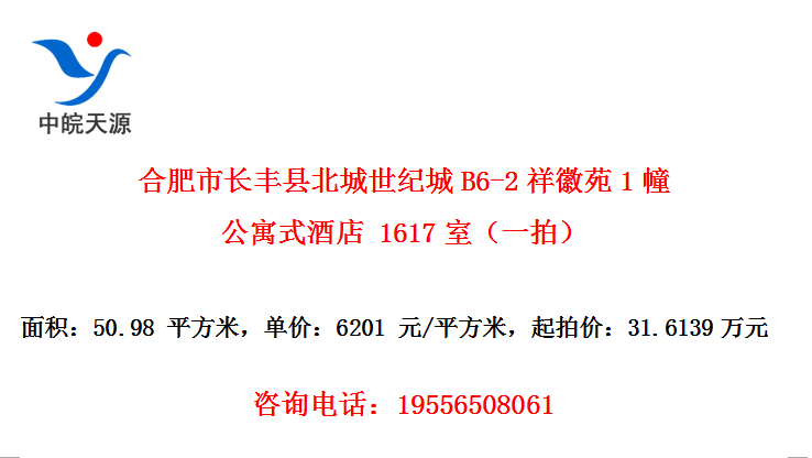 合肥市长丰县北城世纪城B6-2祥徽苑1幢公寓式酒店 1617室（一拍）