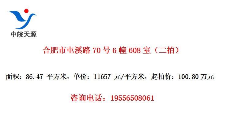 合肥市屯溪路70号6幢608室（二拍）