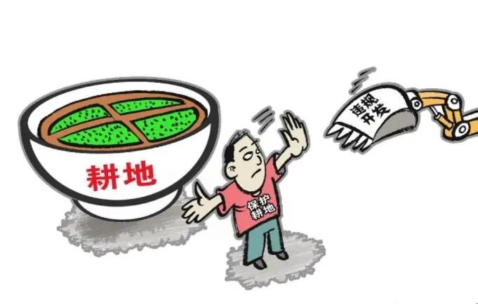 人民网评：决不允许任何人在耕地保护上做手脚