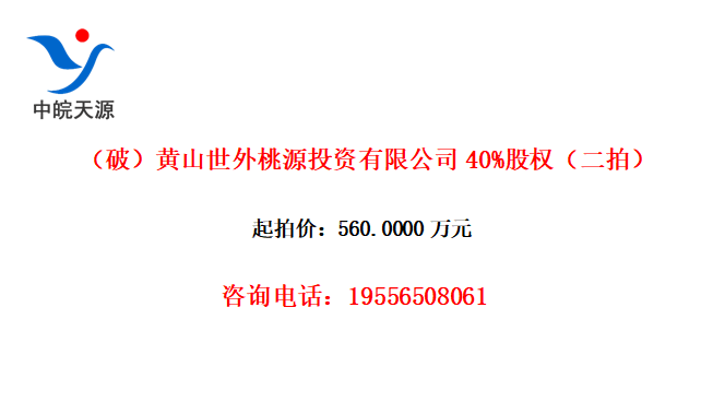 ƣɽԴͶ޹˾40%Ȩģ