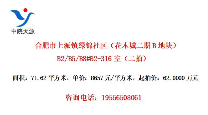 Ϸ̽ľǶBؿ飩B2/B5/B8#B2-316ңģ