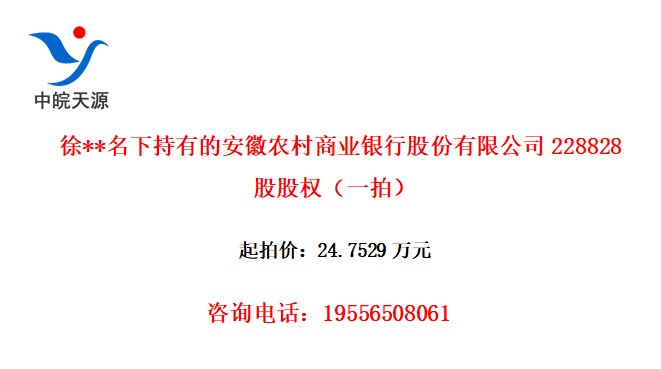 **³еİũҵйɷ޹˾228828ɹȨһģ