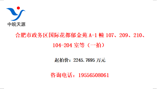 ϷʻԷA-1107209210104-204ҵȣһģ