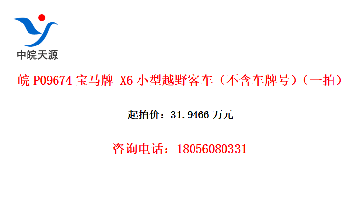 P09674-X6СԽҰͳƺţһģ