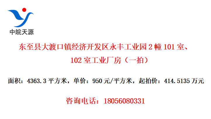 东至县大渡口镇经济开发区永丰工业园2幢101室、102室工业厂房（一拍）