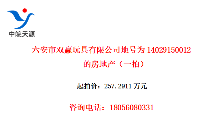 六安市双赢玩具有限公司地号为14029150012的房地产（一拍）