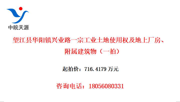 望江县华阳镇兴业路一宗工业土地使用权及地上厂房、附属建筑物（一拍）