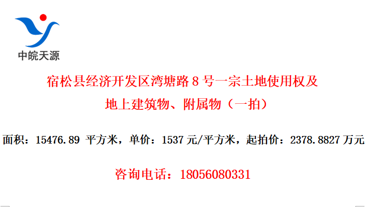 宿松县经济开发区湾塘路8号一宗土地使用权及地上建筑物、附属物（一拍）