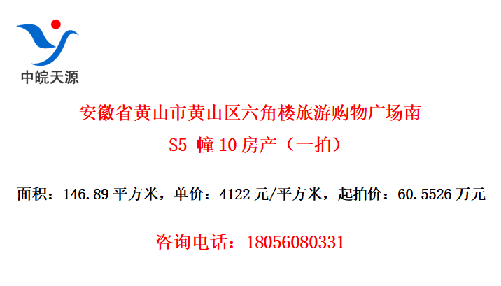 安徽省黄山市黄山区六角楼旅游购物广场南S5 幢10房产（一拍）