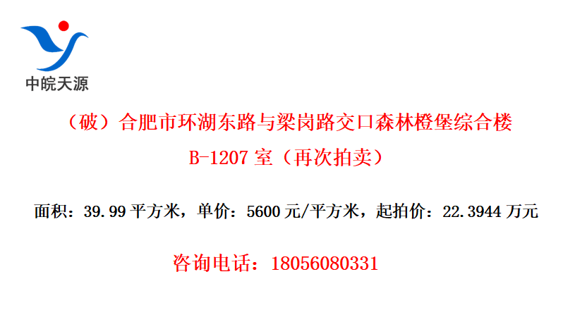 ƣϷл··ɭֳȱۺ¥B-1207ңٴ