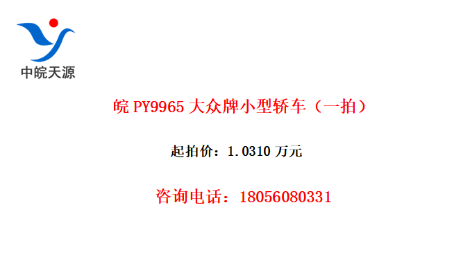 PY9965Сͽγһģ