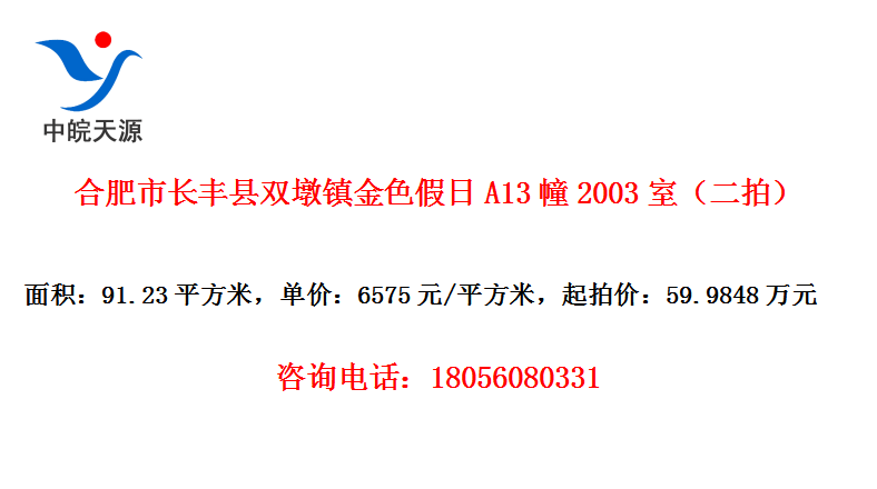 Ϸг˫ɫA132003ңģ