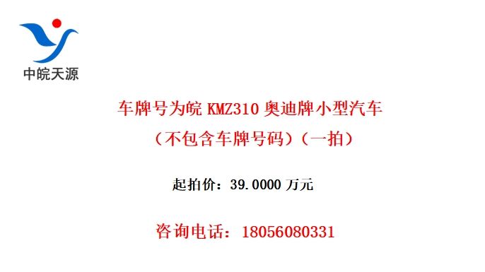 ƺΪKMZ310µСƺ룩һģ