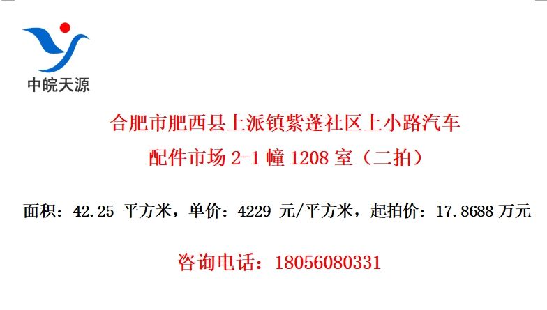 合肥市肥西县上派镇紫蓬社区上小路汽车配件市场2-1幢1208室（二拍）