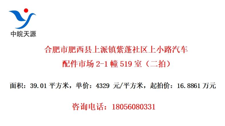 合肥市肥西县上派镇紫蓬社区上小路汽车配件市场2-1幢519室（二拍）