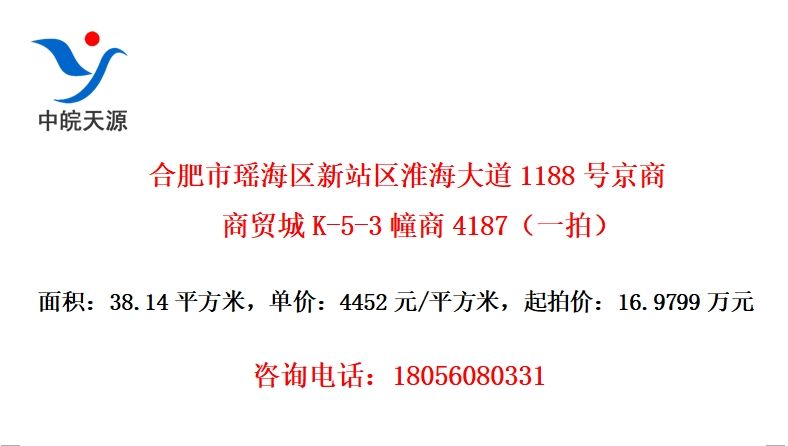 合肥市瑶海区新站区淮海大道1188号京商商贸城K-5-3幢商4187（一拍）