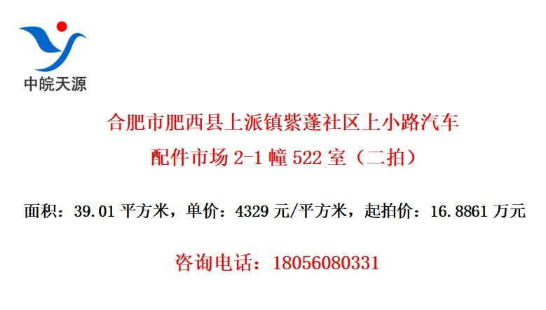合肥市肥西县上派镇紫蓬社区上小路汽车配件市场2-1幢522室（二拍）