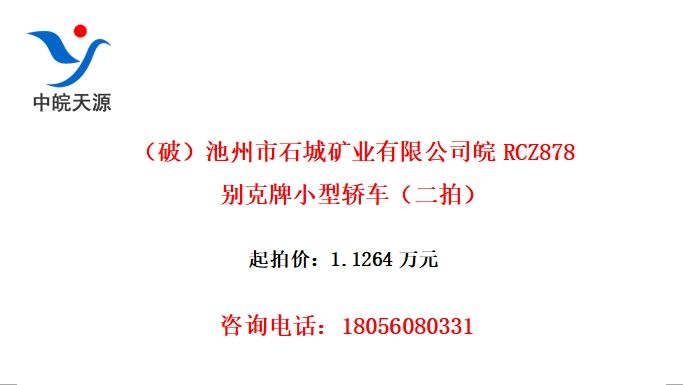 ƣʯǿҵ޹˾RCZ878Сͽγģ
