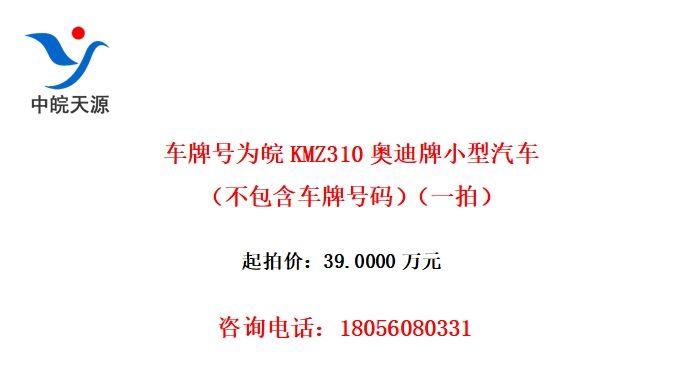 ƺΪKMZ310µСƺ룩һģ