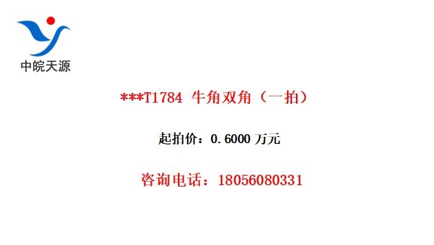 ***T1784 ţ˫ǣһģ