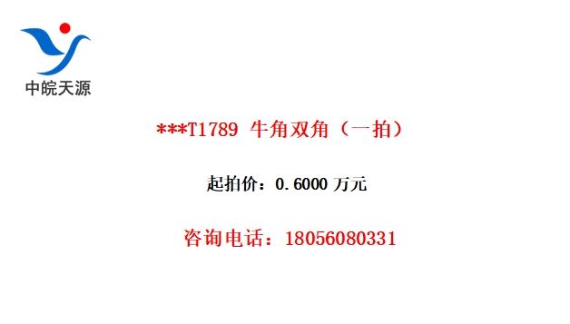 ***T1789 ţ˫ǣһģ