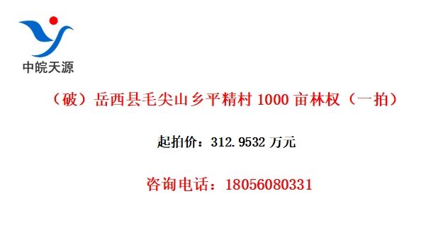 ƣëɽƽ1000ĶȨһģ