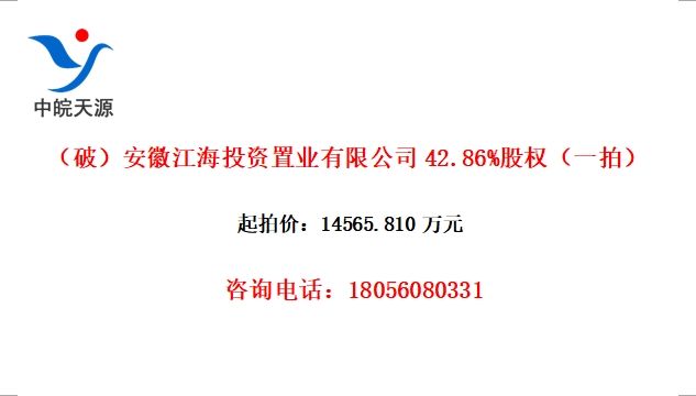 ƣսͶҵ޹˾42.86%Ȩһģ