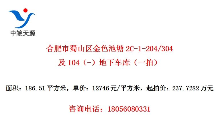 Ϸɽɫ2C-1-204/304104-³⣨һģ