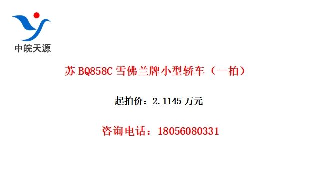 BQ858CѩСͽγһģ