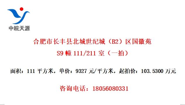 ϷгرͳǣB2ԷS9111/211ңһģ