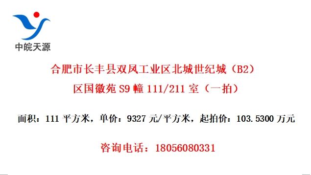 Ϸг˫﹤ҵͳǣB2ԷS9111/211ңһģ
