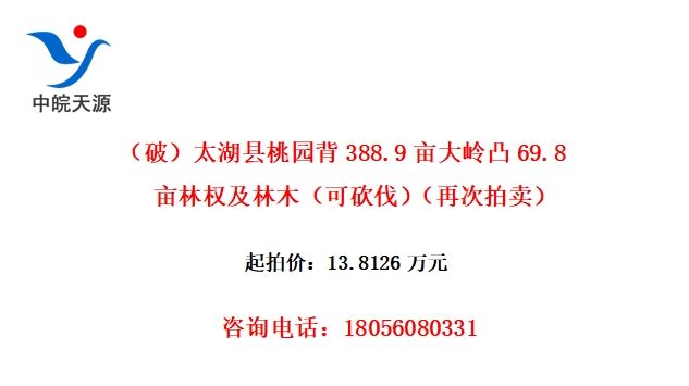 ƣ̫԰388.9Ķ͹69.8ĶȨľɿٴ