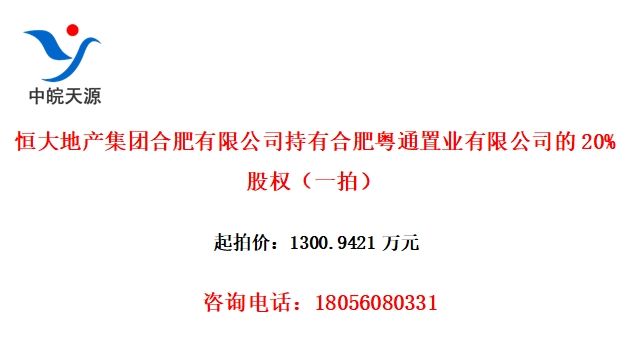 زźϷ޹˾кϷͨҵ޹˾20%Ȩһģ