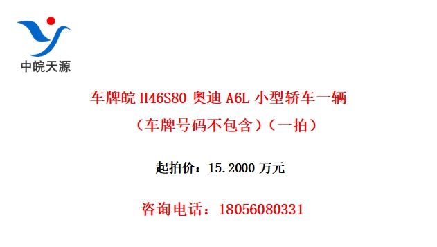 H46S80µA6LСͽγһƺ벻һģ