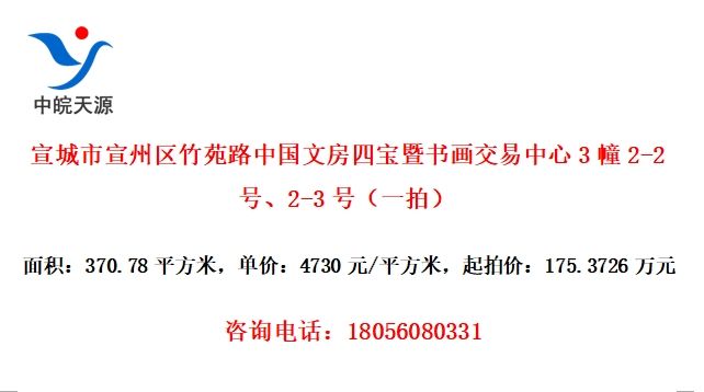 宣城市宣州区竹苑路中国文房四宝暨书画交易中心3幢2-2号、2-3号（一拍）