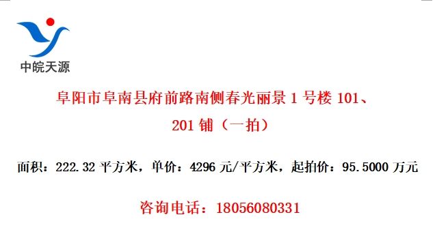 阜阳市阜南县府前路南侧春光丽景1号楼101、201铺（一拍）
