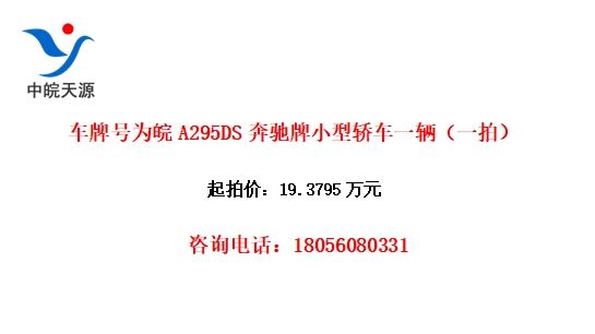 ƺΪA295DSСͽγһһģ