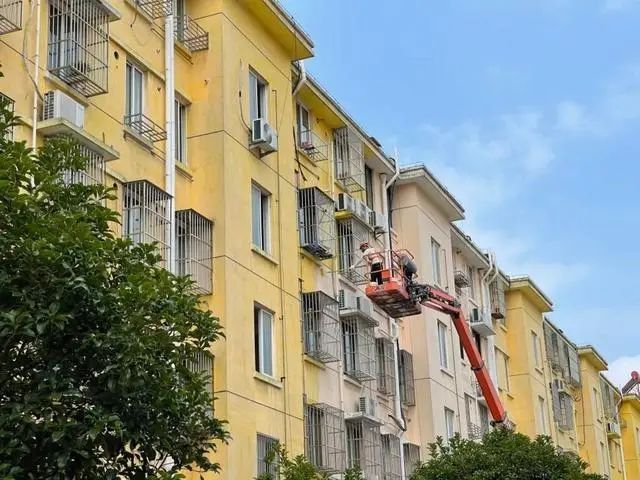 ֧ǿ ϾСӭ