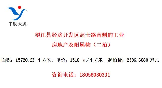 望江县经济开发区高士路南侧的工业房地产及附属物（二拍）