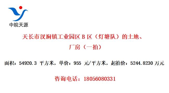 天长市汊涧镇工业园区B区（灯塘队）的土地、厂房（一拍）