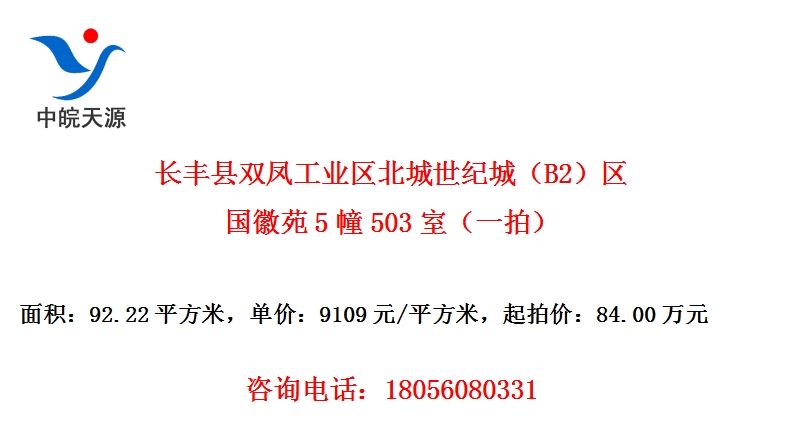 ˫﹤ҵͳǣB2Է5503ңһģ
