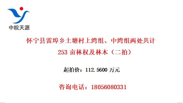 ײ顢253ĶȨľģ
