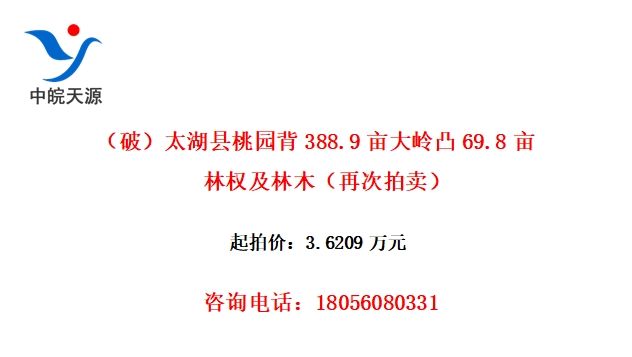 ƣ̫԰388.9Ķ͹69.8ĶȨľٴ