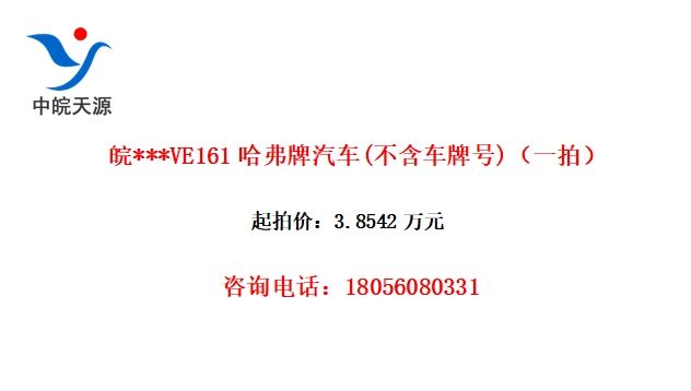 ***VE161(ƺ)һģ